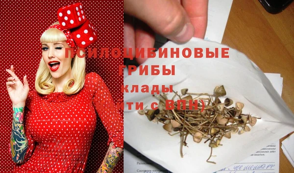 ГАЛЛЮЦИНОГЕННЫЕ ГРИБЫ Кинешма