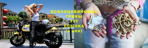 ГАЛЛЮЦИНОГЕННЫЕ ГРИБЫ Кинешма