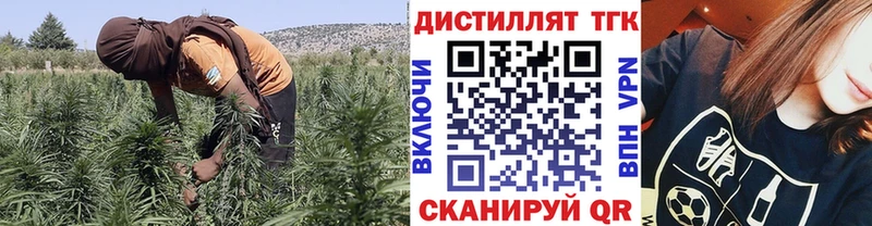 Купить где  Гай  Дистиллят ТГК Wax 