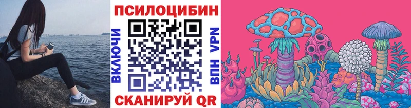 Купить где  Гай  Галлюциногенные грибы ЛСД 